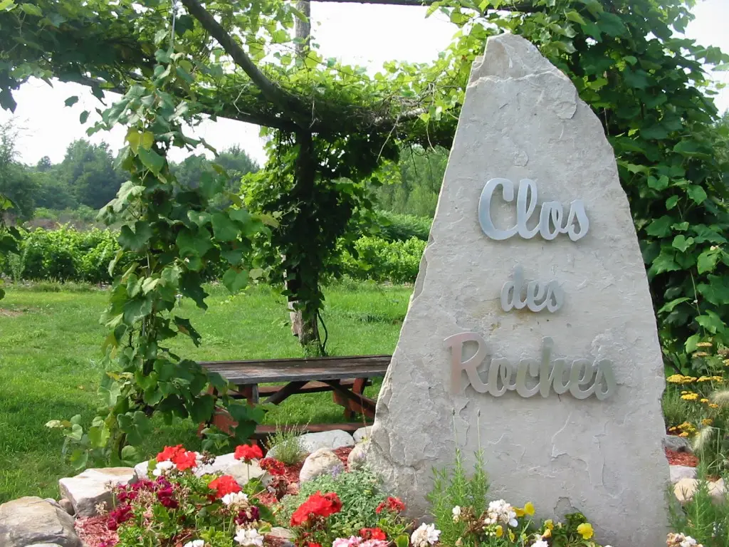 Vignoble